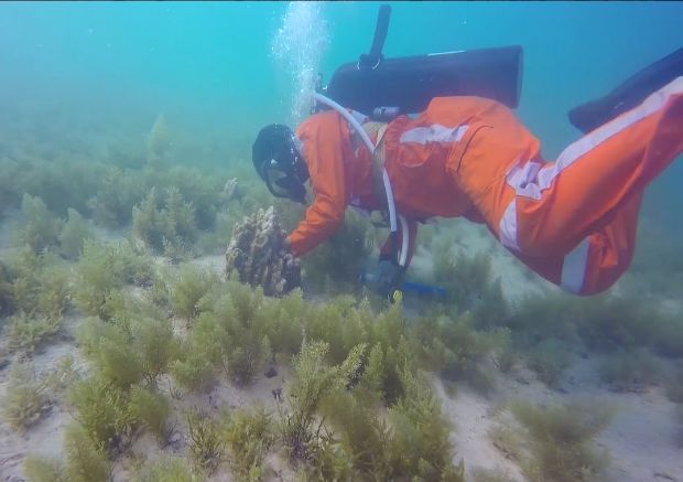 J9集团国际(中国)-官方网站