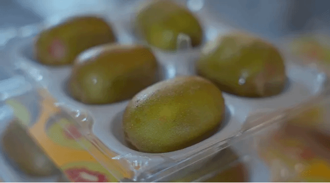 J9集团国际(中国)-官方网站