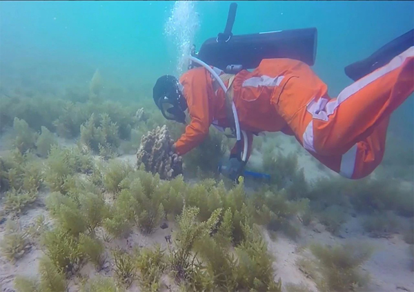 J9集团国际(中国)-官方网站