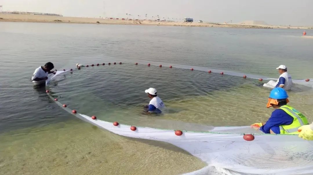 J9集团国际(中国)-官方网站