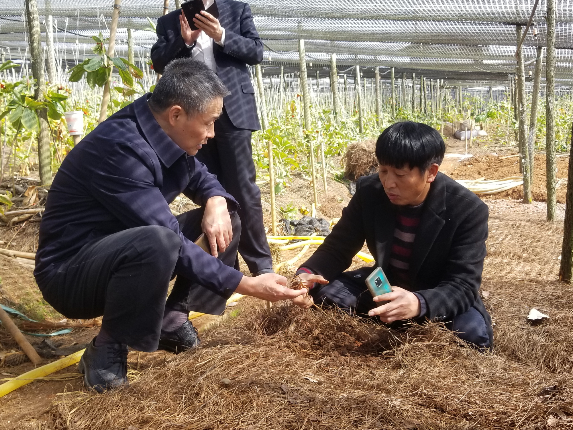 J9集团国际(中国)-官方网站